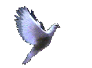 Psychology of Shortcuts Dove Psychology of Longevity